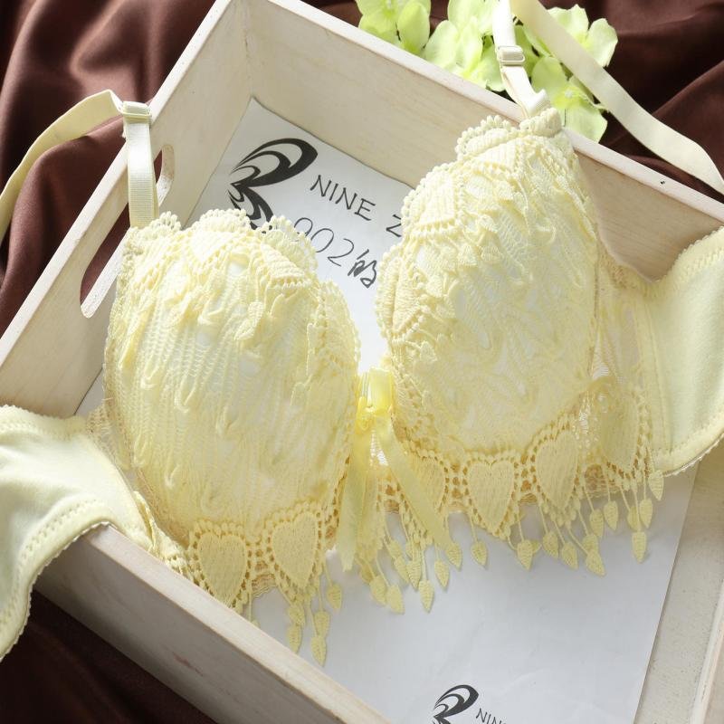 New Design Lovely Women Girls Cute Japanese Lace Bra Panties Sets Underwire Push up Lace Embroidered Bra and Brief Sets